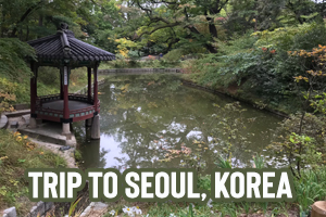 First Trip to Seoul Korea