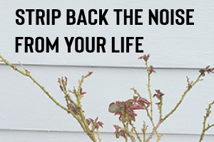 Do you have the courage to strip back the noise of life?